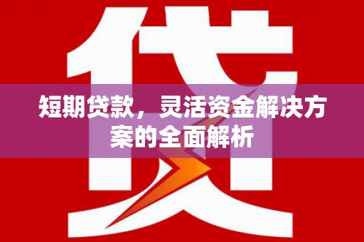 夷陵短期贷款，灵活资金解决方案的全面解析