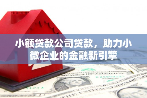 泉山小额贷款公司贷款，助力小微企业的金融新引擎