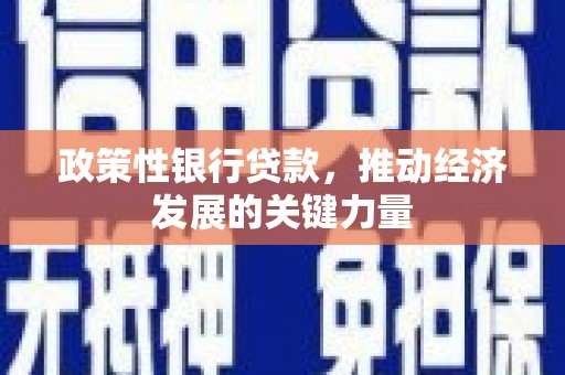 陈巴尔虎旗政策性银行贷款，推动经济发展的关键力量