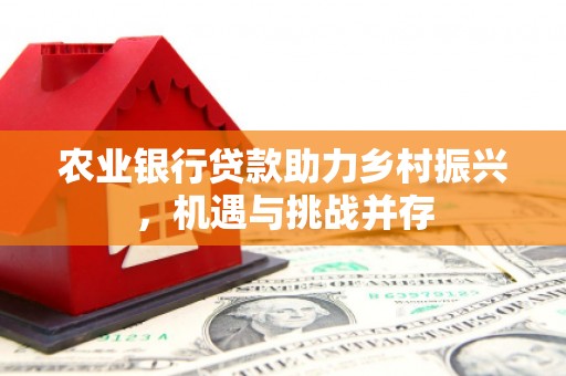 江门农业银行贷款助力乡村振兴，机遇与挑战并存