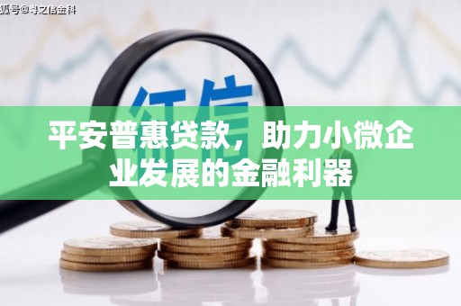 日喀则平安普惠贷款，助力小微企业发展的金融利器