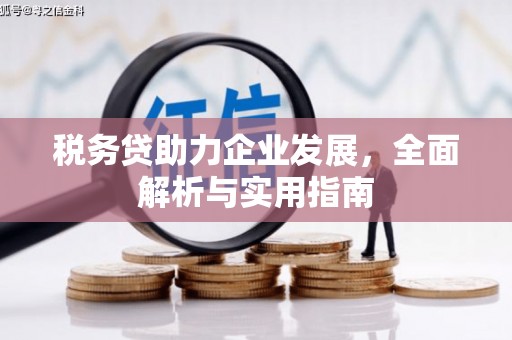 金门税务贷助力企业发展，全面解析与实用指南