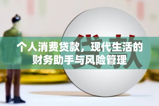龙安个人消费贷款，现代生活的财务助手与风险管理