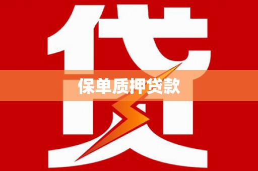 玛沁保单质押贷款