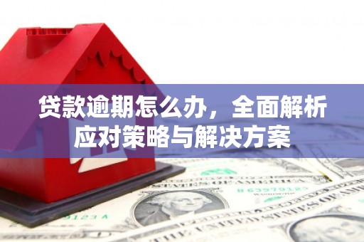 大武口贷款逾期怎么办，全面解析应对策略与解决方案