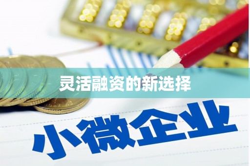 中西灵活融资的新选择
