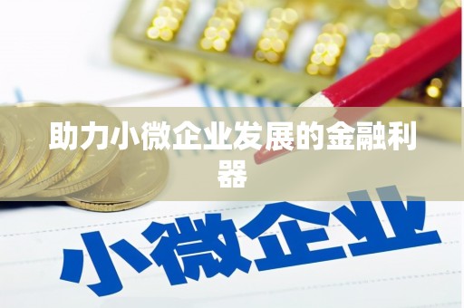 盐山助力小微企业发展的金融利器