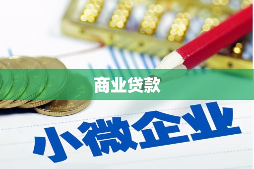 大武商业贷款