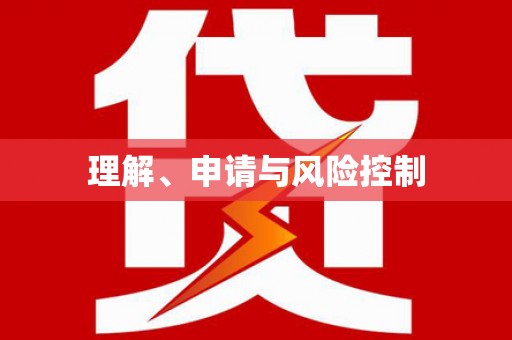 瑞穗理解、申请与风险控制