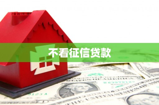 徽州不看征信贷款