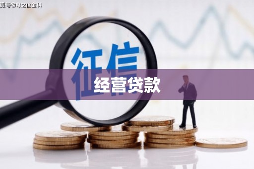 纳溪经营贷款