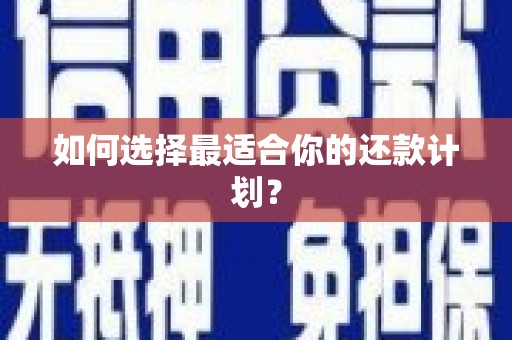 荥经如何选择最适合你的还款计划？