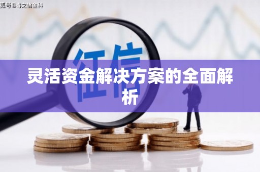黔东南灵活资金解决方案的全面解析